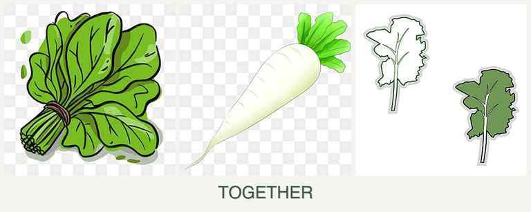 Can you plant spinach, radishes and kale together?