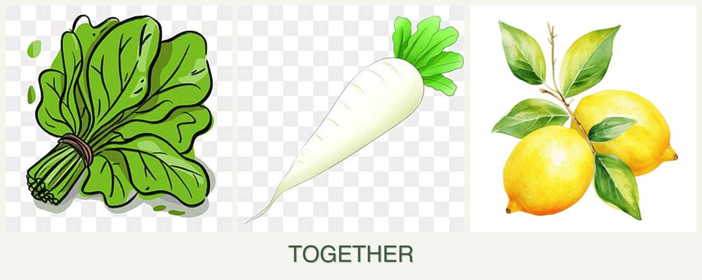 Can you plant spinach, radishes and lemons together?