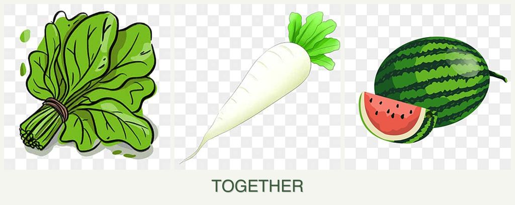 Can you plant spinach, radishes and melons together?