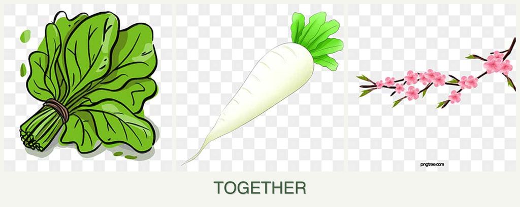 Can you plant spinach, radishes and peaches together?