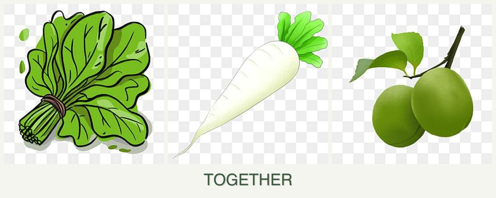 Can you plant spinach, radishes and plums together?