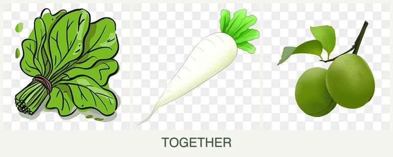 Can you plant spinach, radishes and plums together?