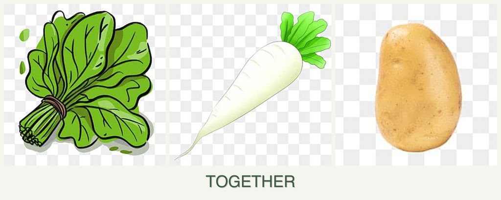 Can you plant spinach, radishes and potatoes together?