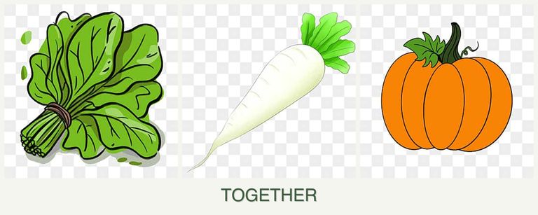Can you plant spinach, radishes and pumpkin together?