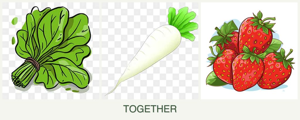 Can you plant spinach, radishes and strawberries together?