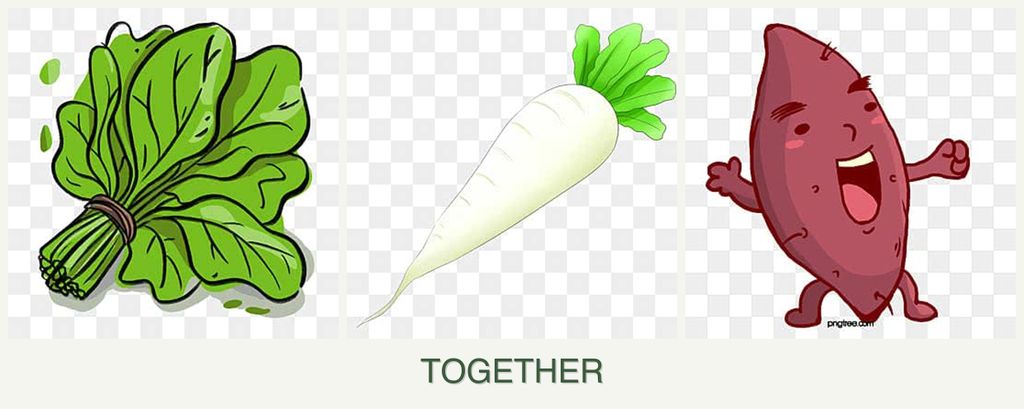 Can you plant spinach, radishes and sweet potatoes together?
