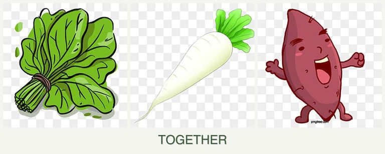 Can you plant spinach, radishes and sweet potatoes together?