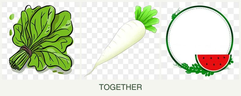 Can you plant spinach, radishes and watermelons together?