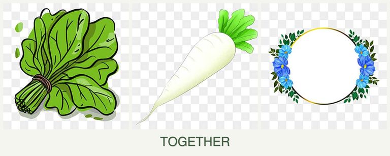 Can you plant spinach, radishes and zinnias together?