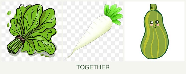 Can you plant spinach, radishes and zucchini together?