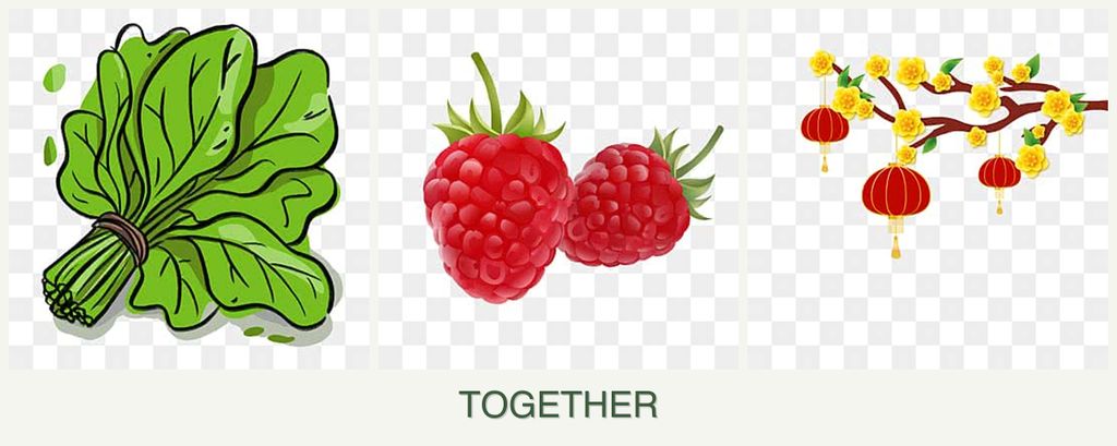 Can you plant spinach, raspberries and apricots together?