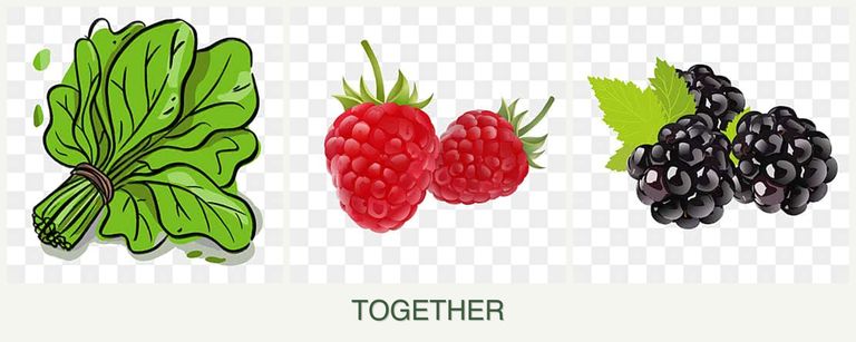 Can you plant spinach, raspberries and blackberries together?