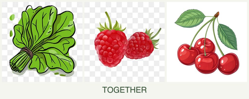 Can you plant spinach, raspberries and cherries together?