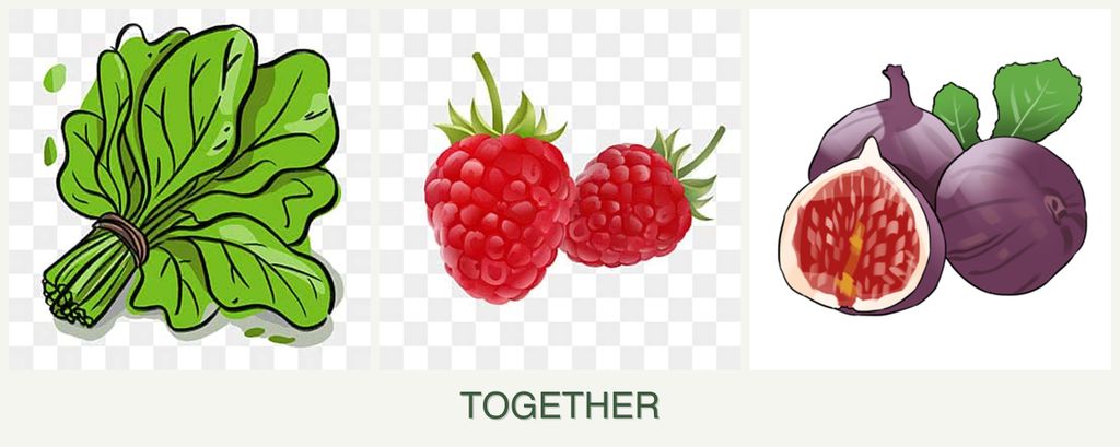 Can you plant spinach, raspberries and figs together?