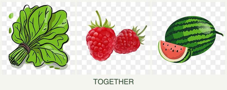 Can you plant spinach, raspberries and melons together?