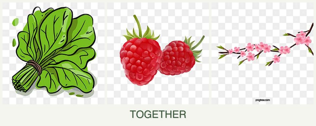 Can you plant spinach, raspberries and peaches together?