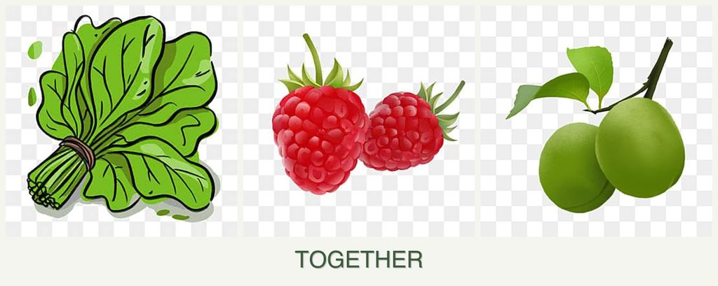 Can you plant spinach, raspberries and plums together?