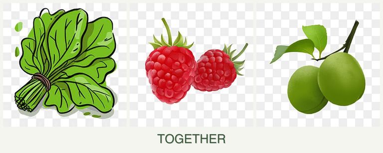 Can you plant spinach, raspberries and plums together?