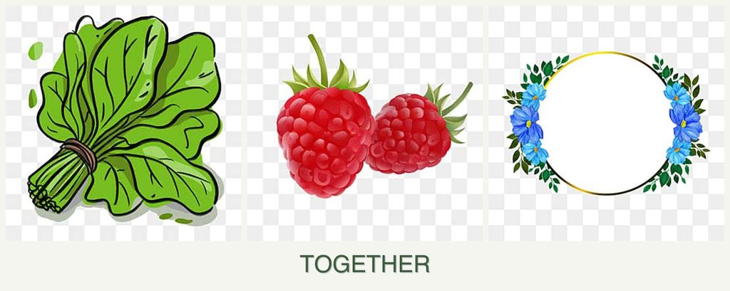 Can you plant spinach, raspberries and zinnias together?