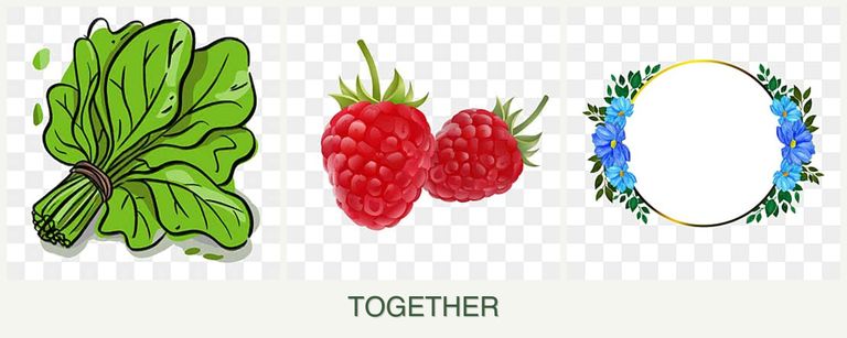 Can you plant spinach, raspberries and zinnias together?