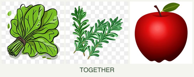 Can you plant spinach, rosemary and apples together?