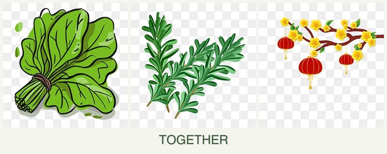 Can you plant spinach, rosemary and apricots together?