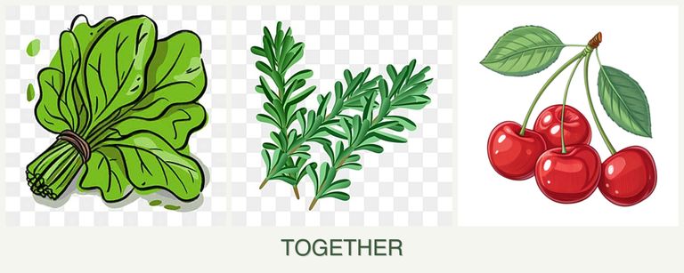 Can you plant spinach, rosemary and cherries together?