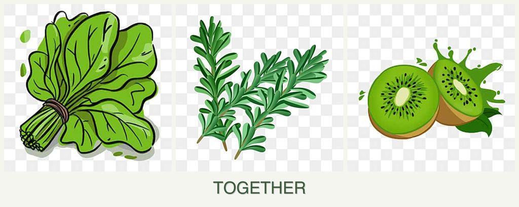 Can you plant spinach, rosemary and kiwi together?