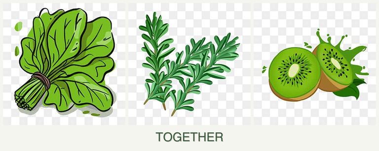 Can you plant spinach, rosemary and kiwi together?