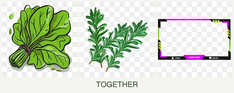 Can you plant spinach, rosemary and limes together?