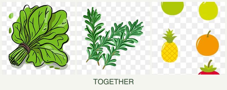 Can you plant spinach, rosemary and pears together?