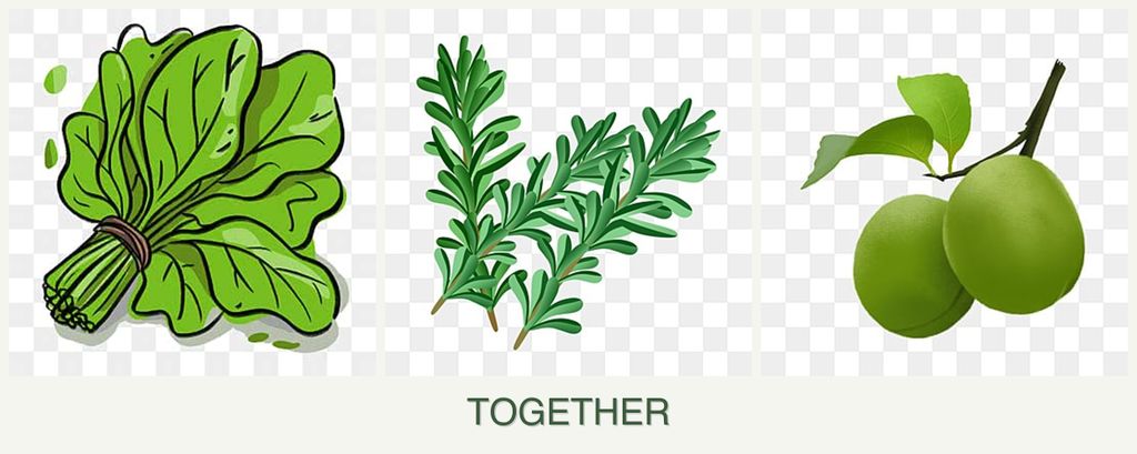 Can you plant spinach, rosemary and plums together?