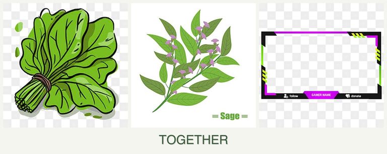 Can you plant spinach, sage and limes together?