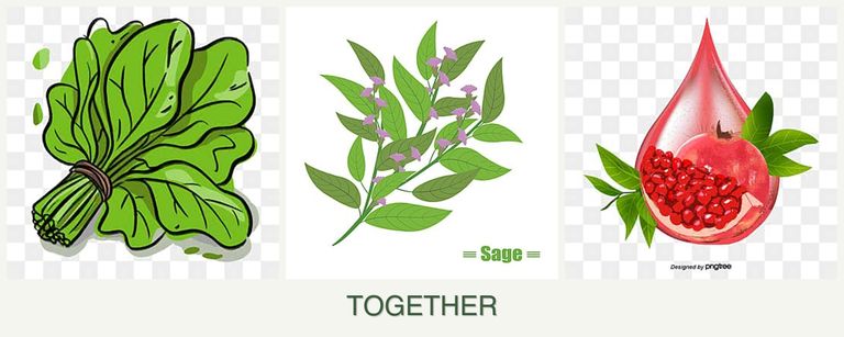 Can you plant spinach, sage and pomegranates together?