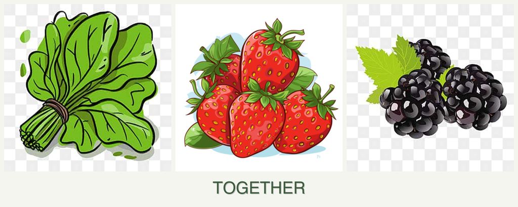 Can you plant spinach, strawberries and blackberries together?