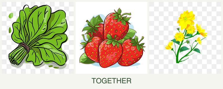 Can you plant spinach, strawberries and calendula together?