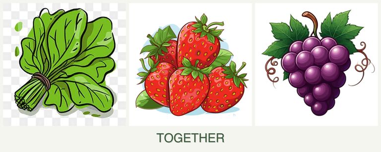 Can you plant spinach, strawberries and grapes together?