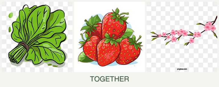 Can you plant spinach, strawberries and peaches together?