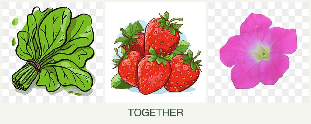 Can you plant spinach, strawberries and petunias together?