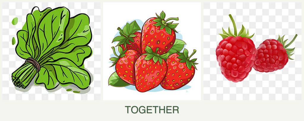 Can you plant spinach, strawberries and raspberries together?