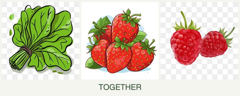 Can you plant spinach, strawberries and raspberries together?