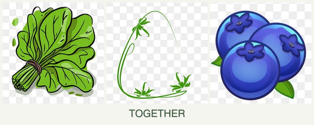Can you plant spinach, tarragon and blueberries together?
