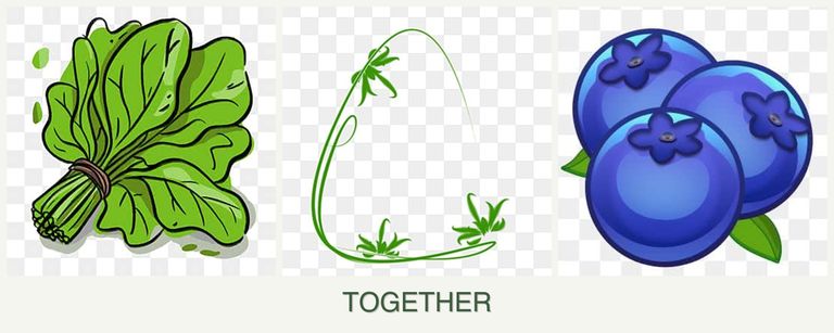 Can you plant spinach, tarragon and blueberries together?