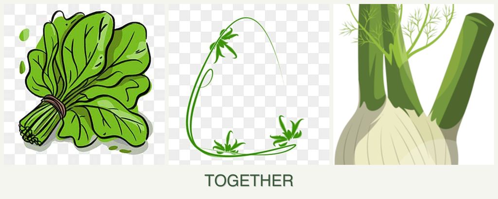 Can you plant spinach, tarragon and fennel together?