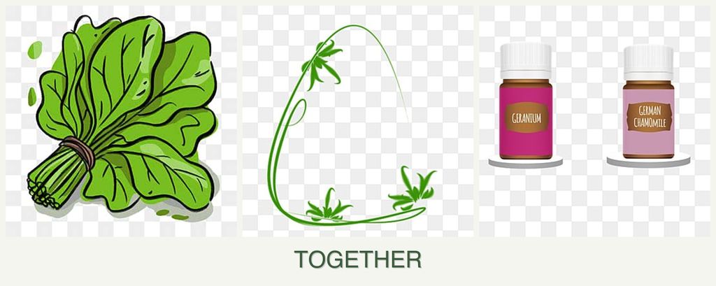 Can you plant spinach, tarragon and geraniums together?