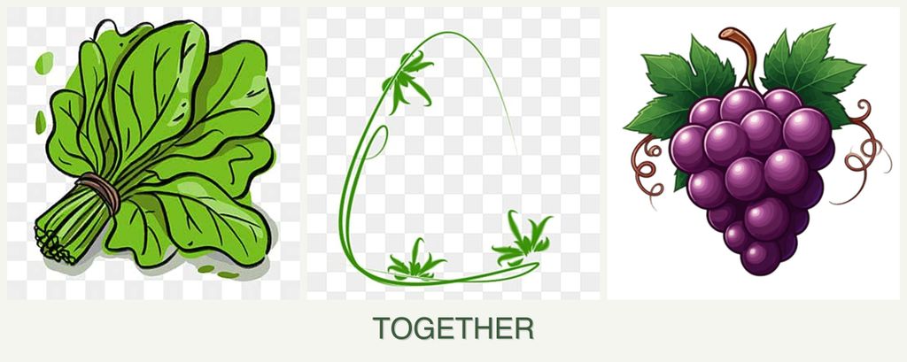 Can you plant spinach, tarragon and grapes together?