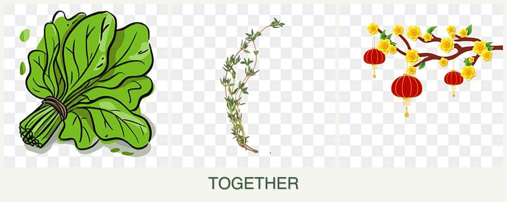 Can you plant spinach, thyme and apricots together?