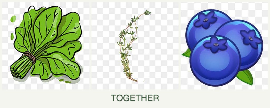 Can you plant spinach, thyme and blueberries together?