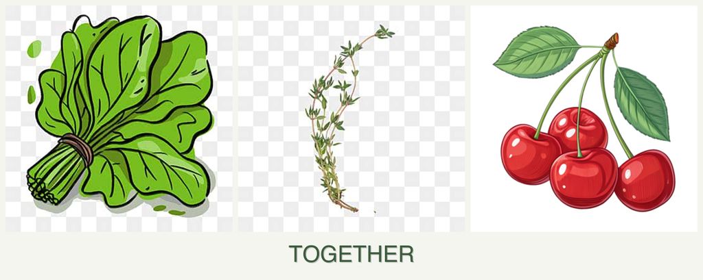 Can you plant spinach, thyme and cherries together?