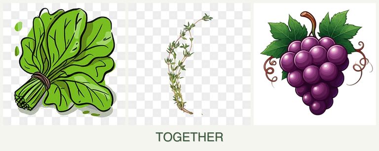 Can you plant spinach, thyme and grapes together?